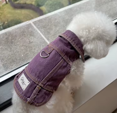 Ropa Denim para perros - Peluquería canina y felina Spaperros Roda de Berà