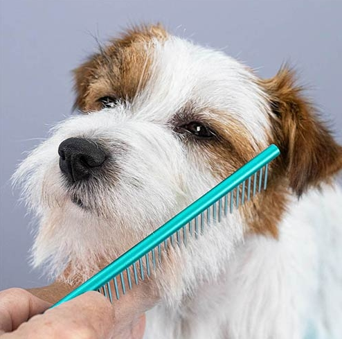 Peine para perros y gatos - Peluquería canina y felina Spaperros Roda de Berà