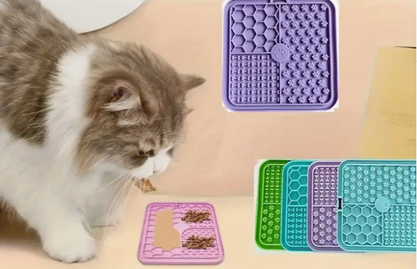 Comederos y bebederos para mascotas - Spaperros Roda de Berà