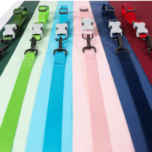 Correa + Collar nylon