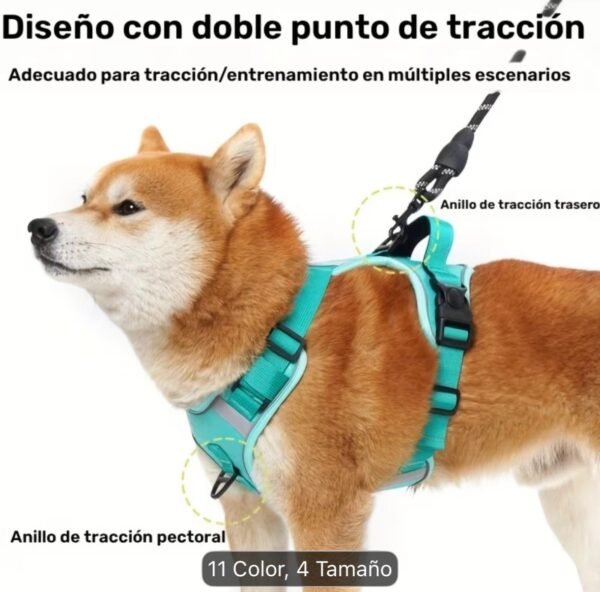Arnés