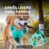 Arnés